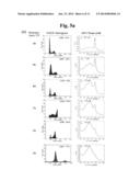 CELL CYCLE MEASURING METHOD BASED ON AN ELECTROCHEMICAL METHOD diagram and image