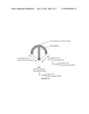 USE OF MICROPATTERNED SOFT SUBSTRATE FOR MEASURING OF CELL TRACTION FORCES diagram and image