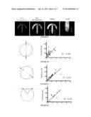 USE OF MICROPATTERNED SOFT SUBSTRATE FOR MEASURING OF CELL TRACTION FORCES diagram and image