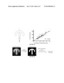 USE OF MICROPATTERNED SOFT SUBSTRATE FOR MEASURING OF CELL TRACTION FORCES diagram and image