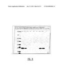 Exosomal Biomarkers for Cardiovasular Events diagram and image