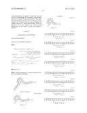 ANTIBODIES WHICH DETECT PIVKAII AND METHODS OF USE THEREOF diagram and image