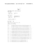 YEAST MUTANT OF KLUYVEROMYCES AND METHOD FOR ETHANOL PRODUCTION USING THE     SAME diagram and image