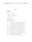 YEAST MUTANT OF KLUYVEROMYCES AND METHOD FOR ETHANOL PRODUCTION USING THE     SAME diagram and image