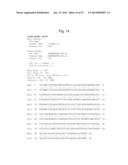 YEAST MUTANT OF KLUYVEROMYCES AND METHOD FOR ETHANOL PRODUCTION USING THE     SAME diagram and image