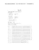 YEAST MUTANT OF KLUYVEROMYCES AND METHOD FOR ETHANOL PRODUCTION USING THE     SAME diagram and image