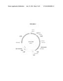 EXPRESSION OF CATALASE IN TRICHODERMA diagram and image