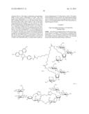 METHODS AND COMPOSITIONS RELATED TO NUCLEIC ACID BINDING ASSAYS diagram and image