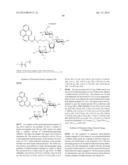 METHODS AND COMPOSITIONS RELATED TO NUCLEIC ACID BINDING ASSAYS diagram and image