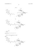 METHODS AND COMPOSITIONS RELATED TO NUCLEIC ACID BINDING ASSAYS diagram and image