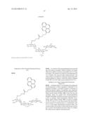 METHODS AND COMPOSITIONS RELATED TO NUCLEIC ACID BINDING ASSAYS diagram and image