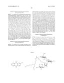 METHODS AND COMPOSITIONS RELATED TO NUCLEIC ACID BINDING ASSAYS diagram and image