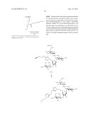 METHODS AND COMPOSITIONS RELATED TO NUCLEIC ACID BINDING ASSAYS diagram and image