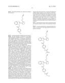 USE OF GLU-TUBULIN AS A BIOMARKER OF DRUG RESPONSE TO     FURAZANOBENZIMIDAZOLES diagram and image