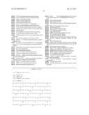 USE OF GLU-TUBULIN AS A BIOMARKER OF DRUG RESPONSE TO     FURAZANOBENZIMIDAZOLES diagram and image