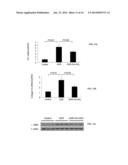 USE OF NITRATED LIPIDS FOR TREATMENT OF SIDE EFFECTS OF TOXIC MEDICAL     THERAPIES diagram and image