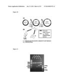 Nanostructured Physically-Associating Hydrogels for Injectable,     Responsive, and Tough Biomaterials diagram and image