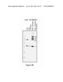 FACTOR VIII POLYMER CONJUGATES diagram and image