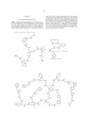 DENDRIMERS WITH INTERIOR AND EXTERIOR FUNCTIONALITIES COMPRISING OF AZIDE     OR ALKYNE GROUPS FOR POST-FUNCTIONALIZATION BY HUISGEN CLICK     CYCLOADDITION diagram and image