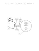 THERAPEUTIC RENAL NEUROMODULATION FOR TREATING DYSPNEA  AND ASSOCIATED     SYSTEMS AND METHODS diagram and image