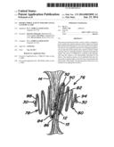 DOUBLE SPIRAL PATENT FORAMEN OVALE CLOSURE CLAMP diagram and image