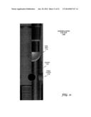 DOWNHOLE TOOLS HAVING NON-TOXIC DEGRADABLE ELEMENTS diagram and image