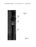 DOWNHOLE TOOLS HAVING NON-TOXIC DEGRADABLE ELEMENTS diagram and image