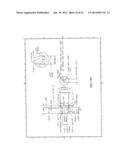 DOWNHOLE TOOLS HAVING NON-TOXIC DEGRADABLE ELEMENTS diagram and image