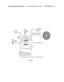 Systems and Methods Extending the Laserspray Ionization Mass Spectrometry     Concept from Atmospheric Pressure to Vacuum diagram and image