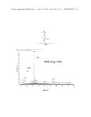 Systems and Methods Extending the Laserspray Ionization Mass Spectrometry     Concept from Atmospheric Pressure to Vacuum diagram and image