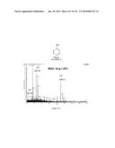 Systems and Methods Extending the Laserspray Ionization Mass Spectrometry     Concept from Atmospheric Pressure to Vacuum diagram and image