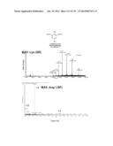 Systems and Methods Extending the Laserspray Ionization Mass Spectrometry     Concept from Atmospheric Pressure to Vacuum diagram and image