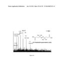 Systems and Methods Extending the Laserspray Ionization Mass Spectrometry     Concept from Atmospheric Pressure to Vacuum diagram and image