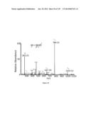 Systems and Methods Extending the Laserspray Ionization Mass Spectrometry     Concept from Atmospheric Pressure to Vacuum diagram and image