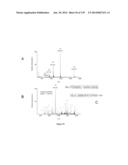 Systems and Methods Extending the Laserspray Ionization Mass Spectrometry     Concept from Atmospheric Pressure to Vacuum diagram and image