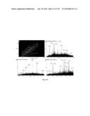 Systems and Methods Extending the Laserspray Ionization Mass Spectrometry     Concept from Atmospheric Pressure to Vacuum diagram and image