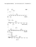 Systems and Methods Extending the Laserspray Ionization Mass Spectrometry     Concept from Atmospheric Pressure to Vacuum diagram and image