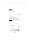 Systems and Methods Extending the Laserspray Ionization Mass Spectrometry     Concept from Atmospheric Pressure to Vacuum diagram and image