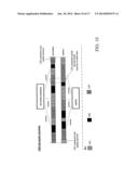 DUPLEX OPERATION IN A CELLULAR COMMUNICATION SYSTEM diagram and image