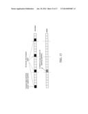 DUPLEX OPERATION IN A CELLULAR COMMUNICATION SYSTEM diagram and image