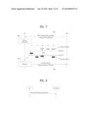 METHOD OF SUPPORTING SIGNAL TRANSMISSION AND RECEPTION USING AT LEAST TWO     RADIO ACCESS TECHNOLOGIES AND APPARATUS THEREFOR diagram and image