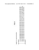 PARTIAL EXPANSION METHOD OF ENCODED IMAGES AND IMAGE PROCESSING APPARATUS diagram and image