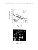 NANOCOMPOSITE OF GRAPHENE AND METAL OXIDE MATERIALS diagram and image