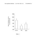 HIGHLY FUNCTIONALIZED STEM CELL/PROGENITOR CELL BY APE1 GENE TRANSFECTION diagram and image