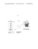 ZONA PELLUCIDA BINDING PEPTIDES, EXPRESSION VECTORS, COMPOSITIONS, AND     METHODS FOR SPECIES-SPECIFIC IMMUNOCONTRACEPTION OF ANIMALS diagram and image