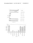 Antagonists Of The Oncongenic Activity Of The Protein MDM2, And Use     Thereof In the Treatment of Cancers diagram and image
