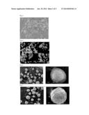 DISINTEGRABLE CORE PARTICLE FOR PHARMACEUTICAL PREPARATION diagram and image