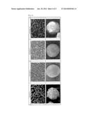 DISINTEGRABLE CORE PARTICLE FOR PHARMACEUTICAL PREPARATION diagram and image