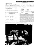 MINERAL BASED COMPOSITION AND METHODS OF USE diagram and image