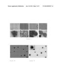 DISSYMMETRIC PARTICLES (JANUS PARTICLES), AND METHOD FOR SYNTHESIZING SAME     BY MEANS OF BIPOLAR ELECTROCHEMISTRY diagram and image